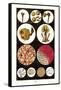 Microscopic Views of Plants and Beetles-James Sowerby-Framed Stretched Canvas