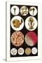Microscopic Views of Plants and Beetles-James Sowerby-Stretched Canvas