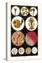 Microscopic Views of Plants and Beetles-James Sowerby-Stretched Canvas