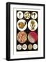 Microscopic Views of Plants and Beetles-James Sowerby-Framed Art Print