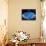 Microwave Map of Whole Sky, C1990S-null-Framed Stretched Canvas displayed on a wall