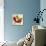 Mid Century Chair Collage I-Anita Nilsson-Mounted Art Print displayed on a wall