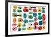 Mid Century II-Cheryl Warrick-Framed Art Print