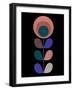 Mid Century Indian red Flower on Black-Anita Nilsson-Framed Art Print