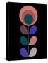 Mid Century Indian red Flower on Black-Anita Nilsson-Stretched Canvas