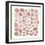 Mid Century IV Blush-Cheryl Warrick-Framed Art Print