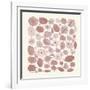 Mid Century IV Blush-Cheryl Warrick-Framed Art Print