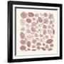 Mid Century IV Blush-Cheryl Warrick-Framed Art Print