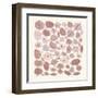 Mid Century IV Blush-Cheryl Warrick-Framed Art Print