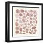 Mid Century IV Blush-Cheryl Warrick-Framed Art Print