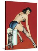 Mid-Century Pin-Ups - Flirt Magazine - Playful Pussy-Peter Driben-Stretched Canvas