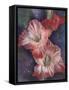 Mid Day-Barbara Keith-Framed Stretched Canvas