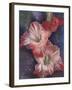 Mid Day-Barbara Keith-Framed Giclee Print