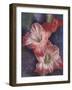 Mid Day-Barbara Keith-Framed Giclee Print