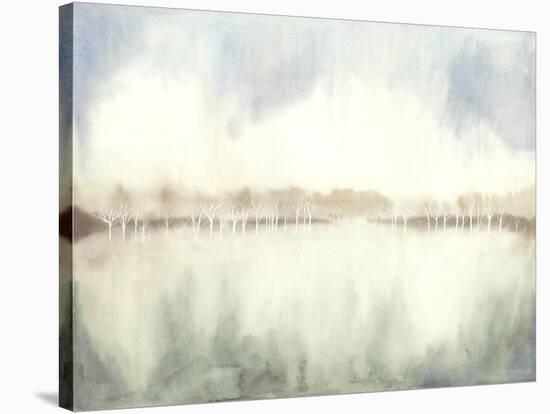 Mid Morning Mist I-Grace Popp-Stretched Canvas