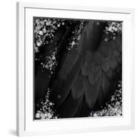 Mid-Summer Magik Noir Diamonds-Tina Lavoie-Framed Giclee Print