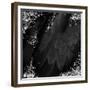 Mid-Summer Magik Noir Diamonds-Tina Lavoie-Framed Giclee Print