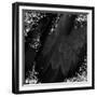 Mid-Summer Magik Noir Diamonds-Tina Lavoie-Framed Giclee Print