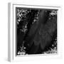 Mid-Summer Magik Noir Diamonds-Tina Lavoie-Framed Giclee Print