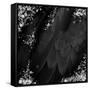 Mid-Summer Magik Noir Diamonds-Tina Lavoie-Framed Stretched Canvas