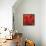 Mid-Summer Magik Red Spice-Tina Lavoie-Framed Stretched Canvas displayed on a wall