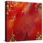 Mid-Summer Magik Red Spice-Tina Lavoie-Stretched Canvas