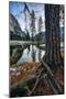 Mid Winter Riverside Reflections Yosemite National Park-Vincent James-Mounted Photographic Print