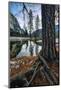 Mid Winter Riverside Reflections Yosemite National Park-Vincent James-Mounted Photographic Print