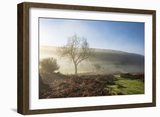 Mid-winter sunlight, and mist around Hutton Le Hole moorland village in Farndale-John Potter-Framed Photographic Print