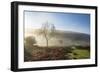 Mid-winter sunlight, and mist around Hutton Le Hole moorland village in Farndale-John Potter-Framed Photographic Print