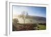 Mid-winter sunlight, and mist around Hutton Le Hole moorland village in Farndale-John Potter-Framed Photographic Print