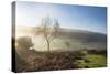 Mid-winter sunlight, and mist around Hutton Le Hole moorland village in Farndale-John Potter-Stretched Canvas