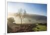 Mid-winter sunlight, and mist around Hutton Le Hole moorland village in Farndale-John Potter-Framed Photographic Print