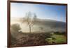 Mid-winter sunlight, and mist around Hutton Le Hole moorland village in Farndale-John Potter-Framed Photographic Print