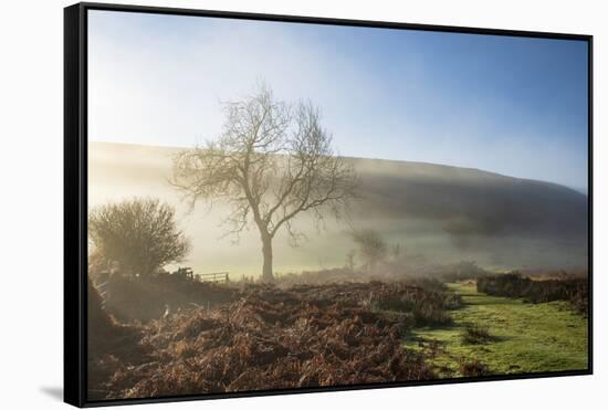 Mid-winter sunlight, and mist around Hutton Le Hole moorland village in Farndale-John Potter-Framed Stretched Canvas