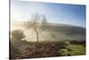 Mid-winter sunlight, and mist around Hutton Le Hole moorland village in Farndale-John Potter-Stretched Canvas