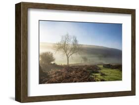 Mid-winter sunlight, and mist around Hutton Le Hole moorland village in Farndale-John Potter-Framed Photographic Print