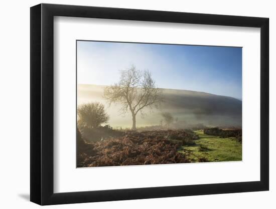 Mid-winter sunlight, and mist around Hutton Le Hole moorland village in Farndale-John Potter-Framed Photographic Print