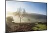 Mid-winter sunlight, and mist around Hutton Le Hole moorland village in Farndale-John Potter-Mounted Photographic Print