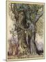 Midas, Flowers Turn Gold-Arthur Rackham-Mounted Art Print