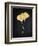 Midas Ginkgo 1-Albert Koetsier-Framed Art Print