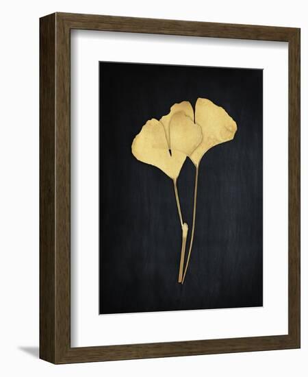 Midas Ginkgo 1-Albert Koetsier-Framed Art Print