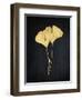 Midas Ginkgo 1-Albert Koetsier-Framed Art Print