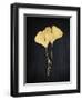 Midas Ginkgo 1-Albert Koetsier-Framed Art Print