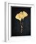 Midas Ginkgo 1-Albert Koetsier-Framed Art Print