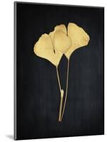 Midas Ginkgo 1-Albert Koetsier-Mounted Art Print