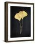 Midas Ginkgo 1-Albert Koetsier-Framed Art Print