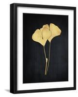 Midas Ginkgo 1-Albert Koetsier-Framed Art Print