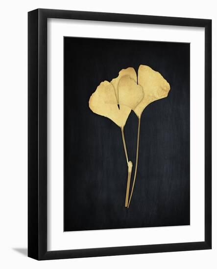 Midas Ginkgo 1-Albert Koetsier-Framed Art Print