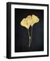 Midas Ginkgo 1-Albert Koetsier-Framed Art Print